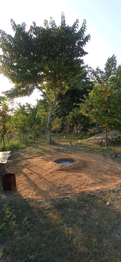 Corbett Nature Retreat Ramnagar  Zewnętrze zdjęcie