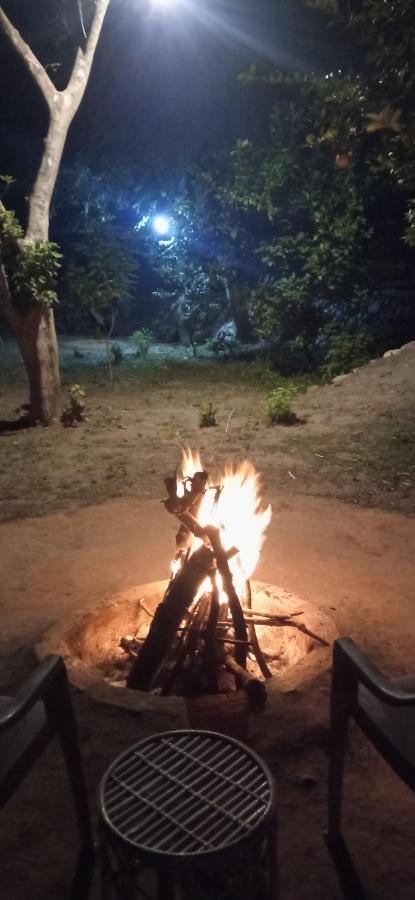 Corbett Nature Retreat Ramnagar  Zewnętrze zdjęcie
