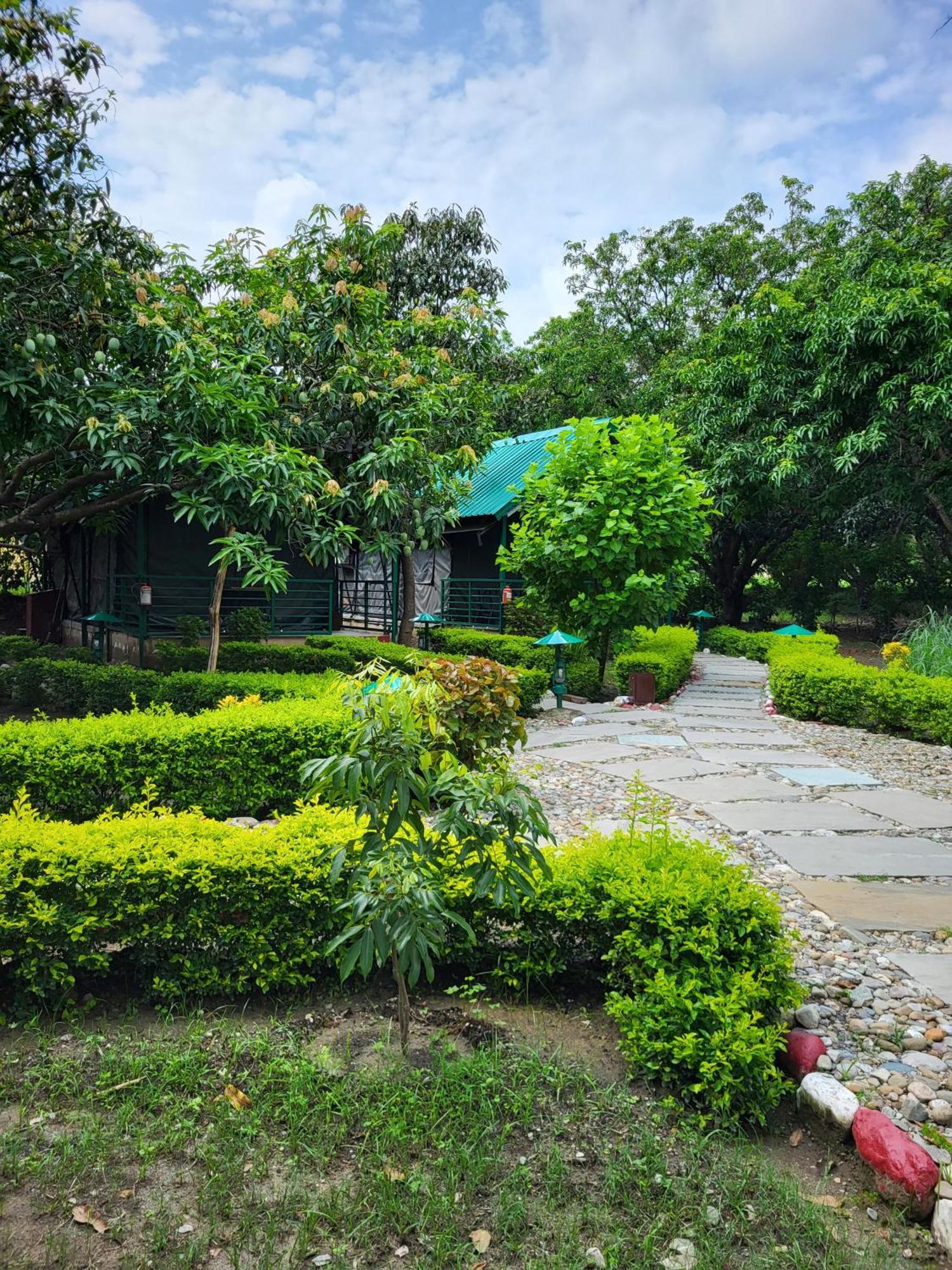 Corbett Nature Retreat Ramnagar  Zewnętrze zdjęcie